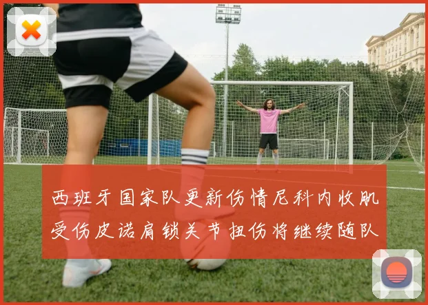 西班牙国家队更新伤情尼科内收肌受伤皮诺肩锁关节扭伤将继续随队训练